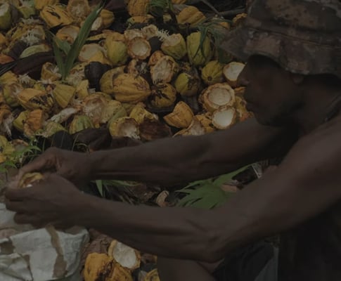 Vanuatu Malekula Island 2024 - Image 3