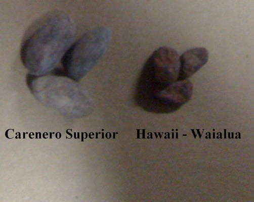 Hawaiian -Waialua Estate  '11 - Image 2