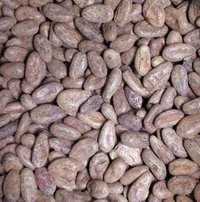 Venezuelan Guaniamo - 2016 - Image 1