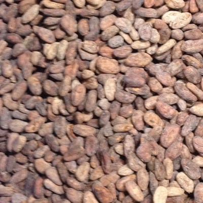 Republic of Congo Organic 2018/19 - Image 1