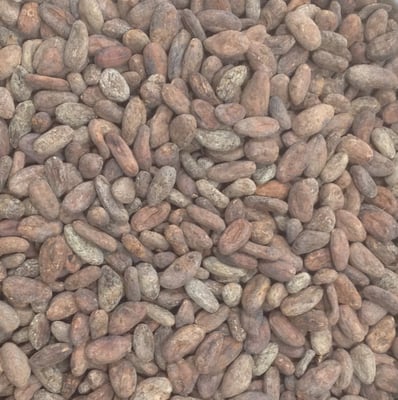 Dominican Republic Zorzal Direct trade Organic 2024 - Image 11