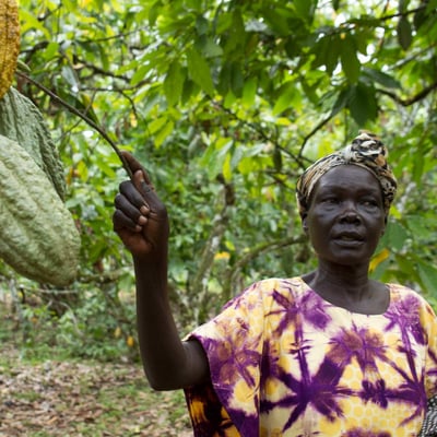 Uganda Semuliki Forest Direct Trade Organic 2025 - Image 25