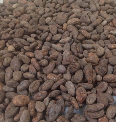 Guatemala - Cahabón - 2020 Organic - Image 3