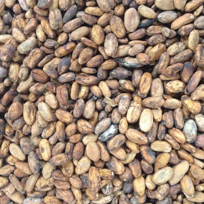 Brazil Lajedo do Ouro Farmgate 2019 - Image 7