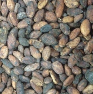 Ivory Coast - RFA - 2019/20 - Image 2