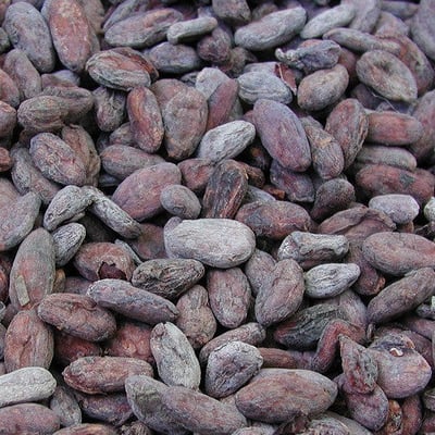 Peru - Finca Santa Estela 2018 - Image 1