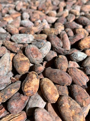 Peru Pangoa Organic 2024 - Image 2