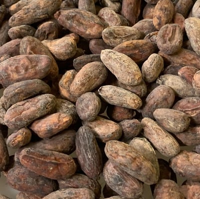 Bolivia Heirloom #1 Felix Paredes Direct Trade 2025 - Image 6