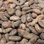 Colombia - Sierra Nevada 2019