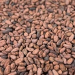 Fiji Drekiti- Direct Trade - 2020