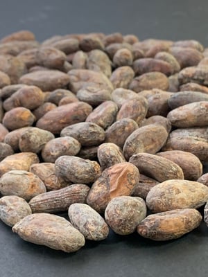 Bolivia - Alto Beni Walikeewa - 2023 - Organic - Image 4