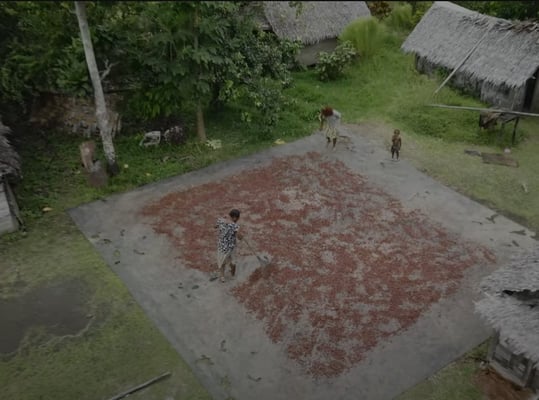 Vanuatu Malekula Island 2024 - Image 2