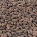 Peru Ucayali 2021 Direct Trade