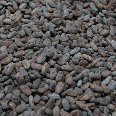 Vietnam Dak Nong 2018 Direct Trade - Image 1