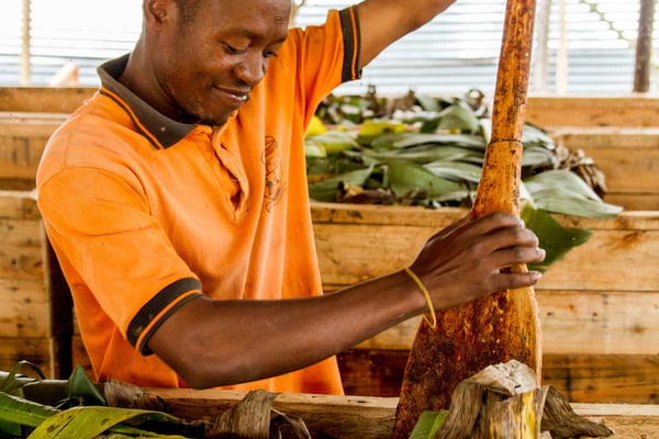 Uganda Semuliki Forest Direct Trade Organic 2024 - Image 6