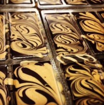 Mexico Bicolor / Pataxte / Jaguar / Macambo Cocoa - Lot II Direct Trade - 2021 - Image 3