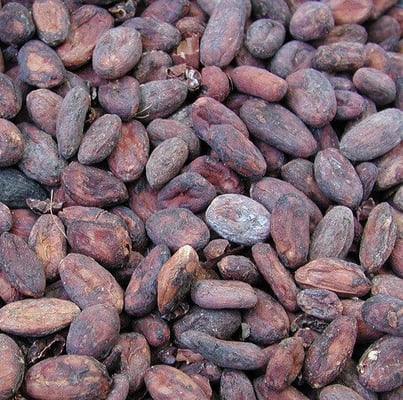 Venezuelan Ocumare Lugo - 2013 - Image 1