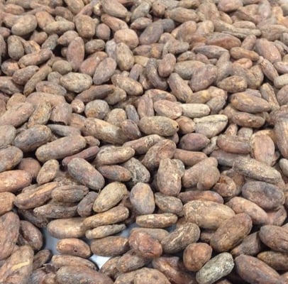 Belize Organic - 2020 - Image 1