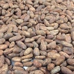 Belize Organic - 2020