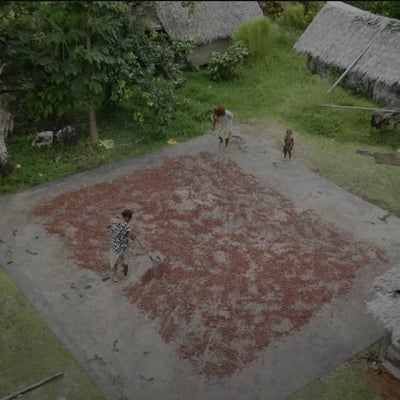 Vanuatu Malekula Island 2024 - Image 11