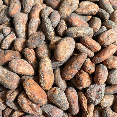 Belize Organic - 2022 - Image 2