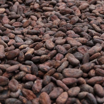 Vietnam Lam Dong 2018 Direct Trade - Image 1