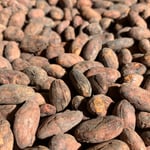 Peru Awajún Direct Trade Organic 2024 