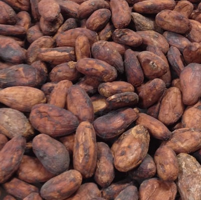 Uganda Semuliki Forest Direct Trade Organic 2025 - Image 27