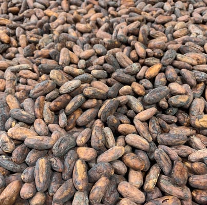 Brazil Catongo Farmgate 2019 - Image 1