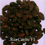 Venezuelan Rio Caribe F1