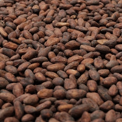 Mexico Chiapas - Direct Trade - 2019 - Image 1