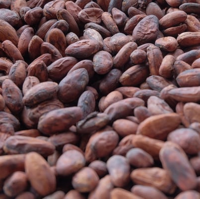 Costa Rica Nahua 2017 - Image 1