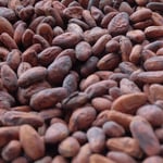 Costa Rica Nahua 2017