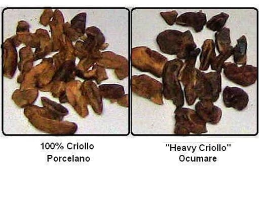 Venezuelan Patanemo - 2013 - Image 2