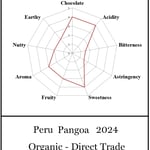 Peru Pangoa Organic 2024