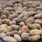 Bolivia - Alto Beni - 2018/19 - Organic