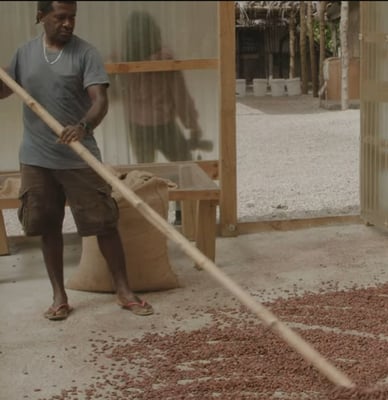 Vanuatu Malekula Island 2024 - Image 1