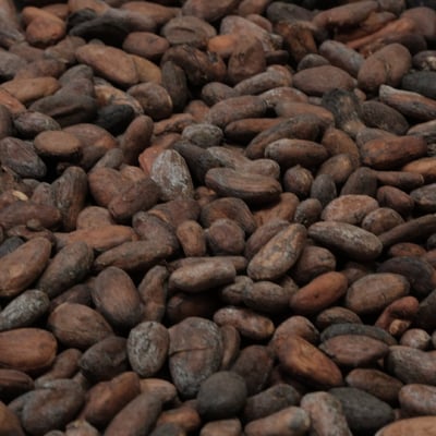 Ecuador - Cayapas River 2020 Organic - Image 1