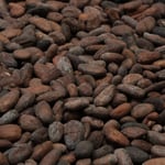 Ecuador - Cayapas River 2020 Organic