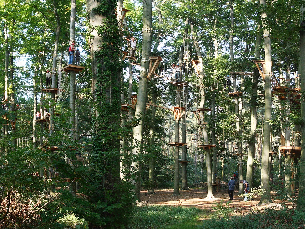 Kletterwald und Hochseilgarten NRW