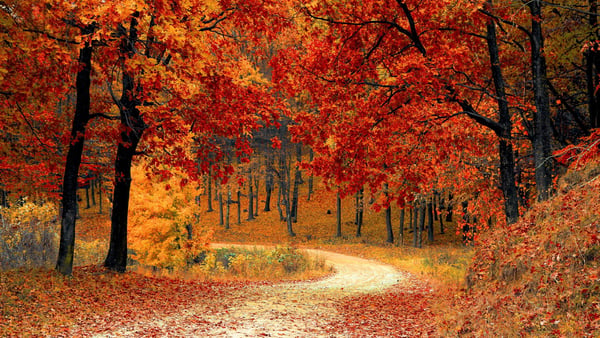 Herbst Aktivitäten