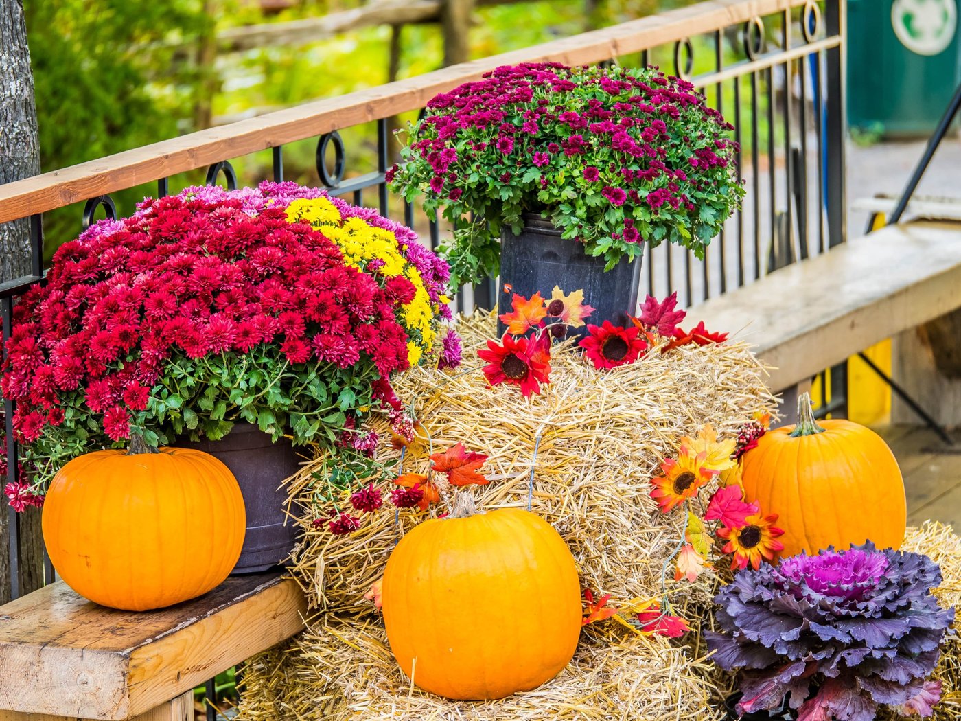 szene mit kürbissen, heuballen und schnittblumen auf einem der herbstmärkte