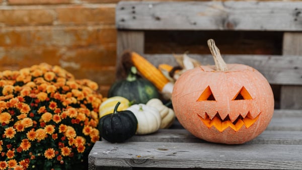 halloween dekoration auf einer bank für den herbst