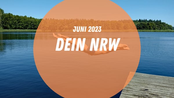 Ein Mann springt von einem Steg in einen Badesee