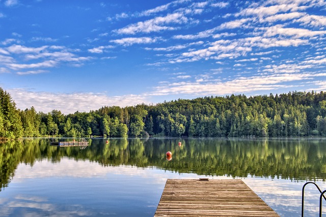 Ein Badesse samt Steg und Waldgebiet