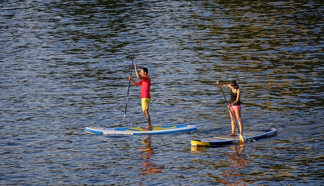 Zwei Stand-Up-Paddler auf dem Wasser.