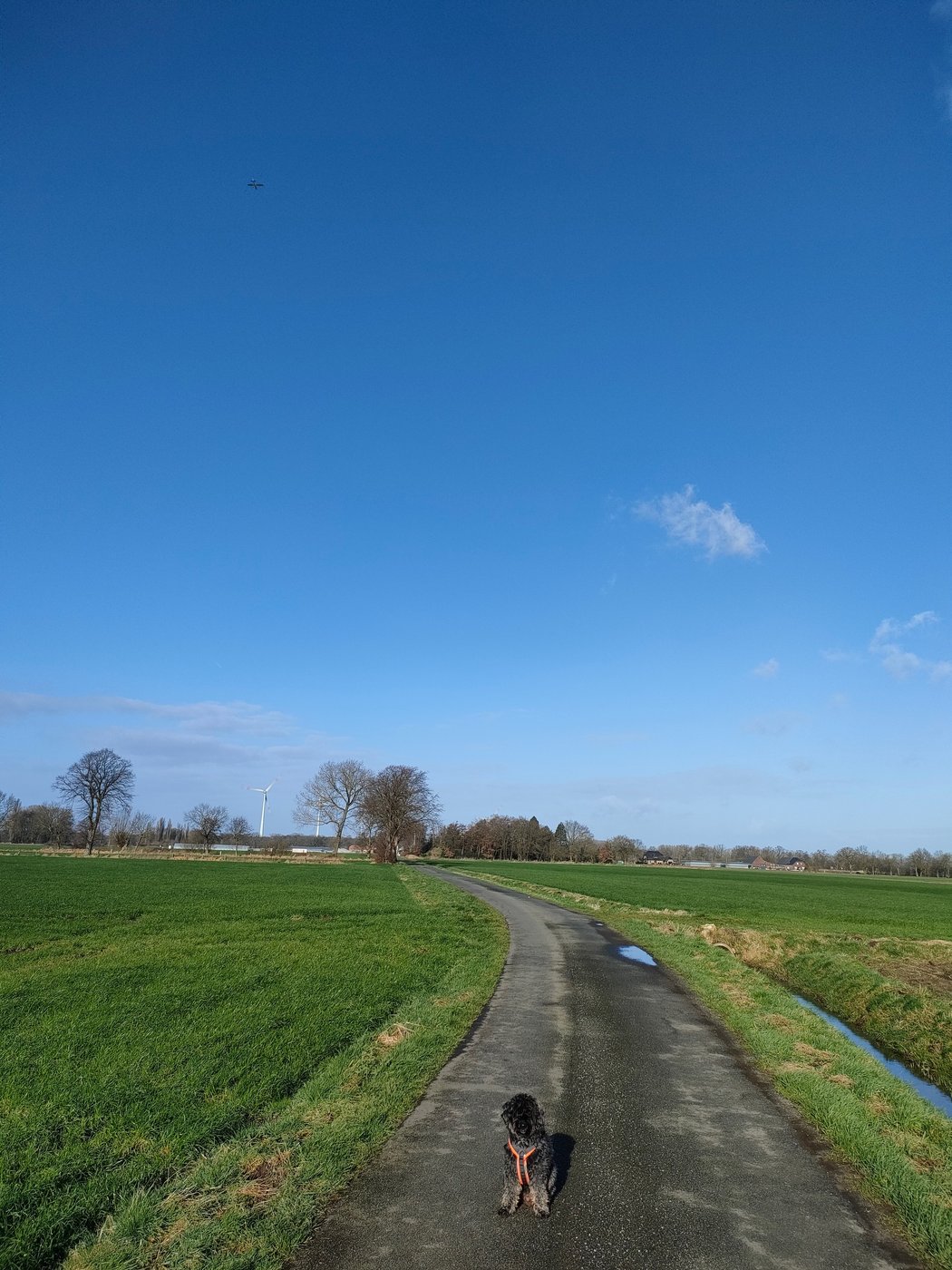 feld zum spazieren
