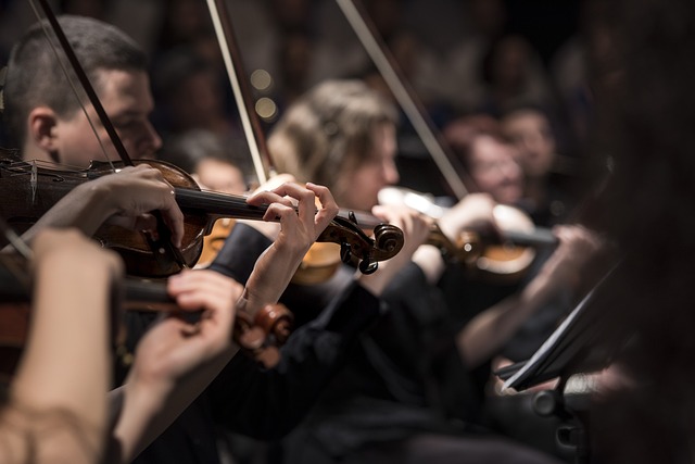 Geigenspieler:innen auf einem Konzert