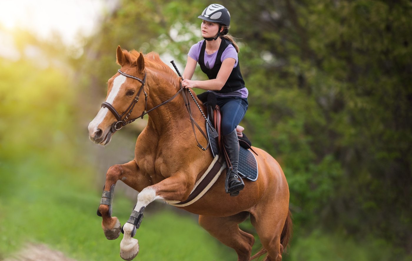 Reiterin auf Pferd im Gelände.