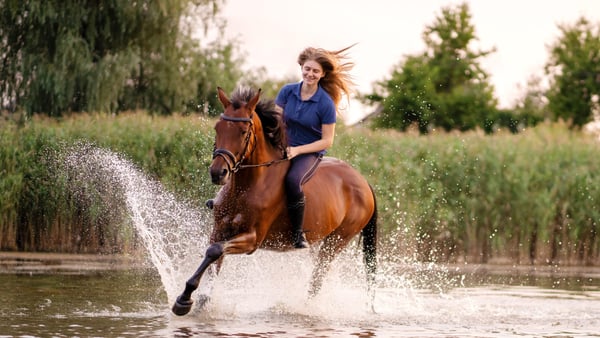Ein junges Mädchen reitet auf einem Pferd in einem flachen See.